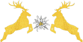 img 20250830 wa0000 transparent