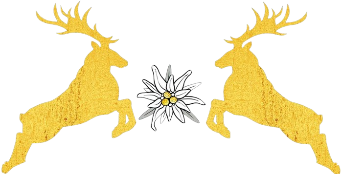 img 20250830 wa0000 transparent