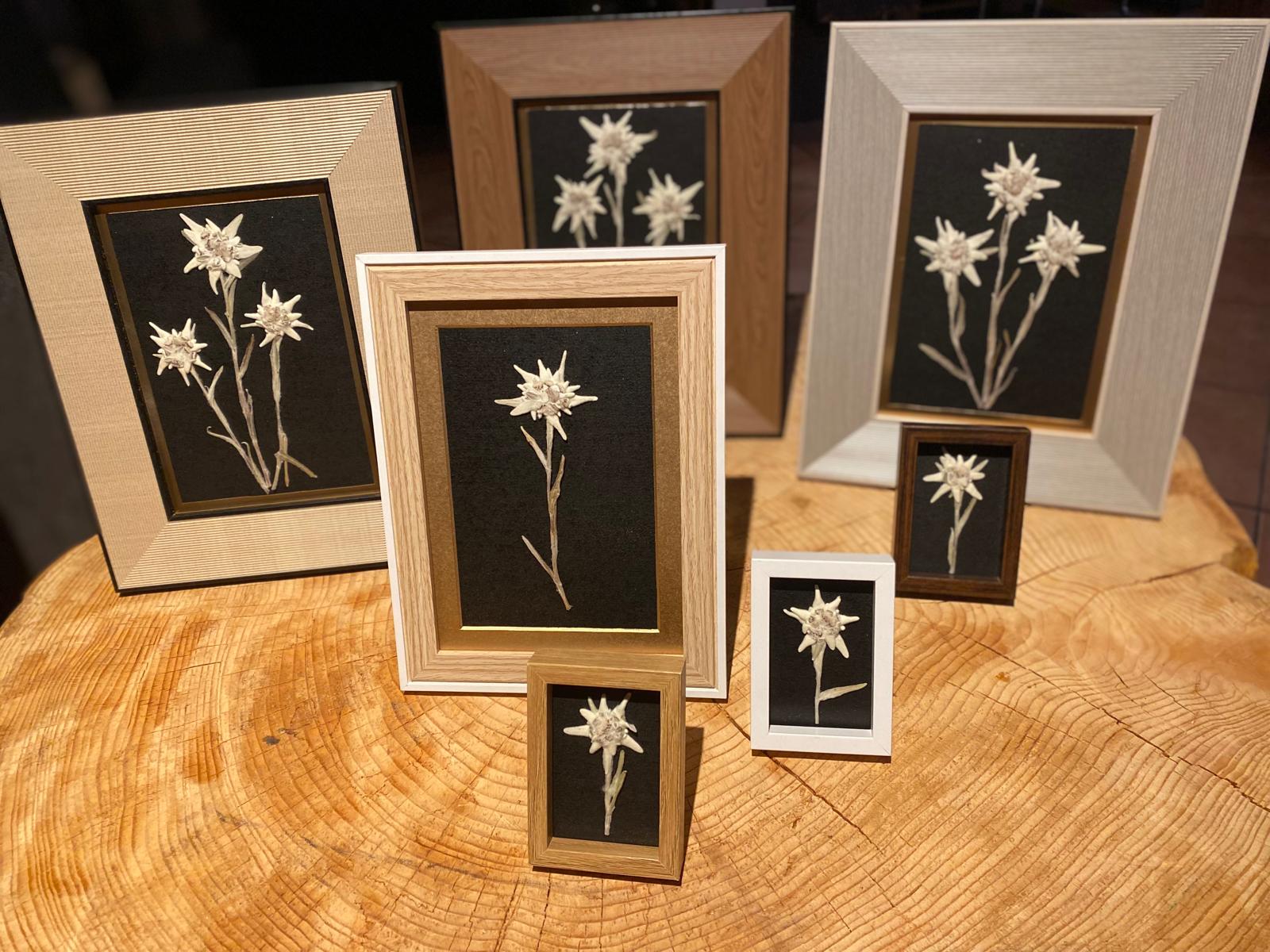 t m.lexer 23.10.2025