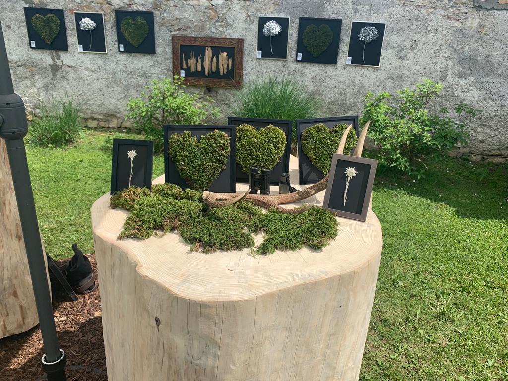 491f6023 c4a4 4d31 a33e 2c9b52b5e0ea