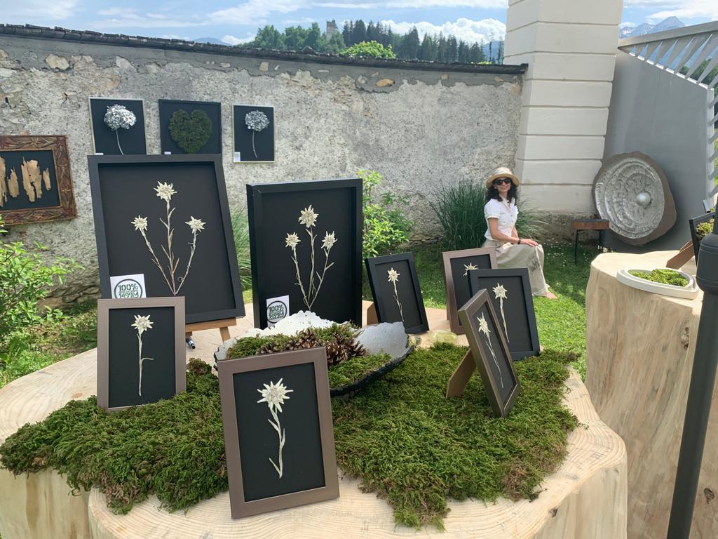 967189ba 057d 46a8 a07d 61589a4da1a5