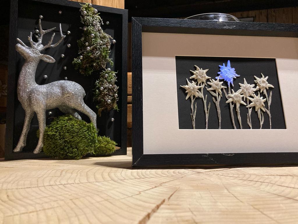 49430140 14cc 4016 9cf4 eda88209aaf3