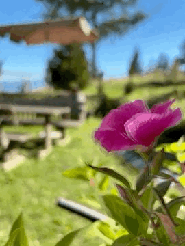 gif 2026 09 05 11 33 24